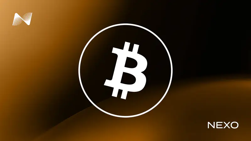 آموزش پرداخت با بیت کوین (Bitcoin) | واریز و برداشت BTC